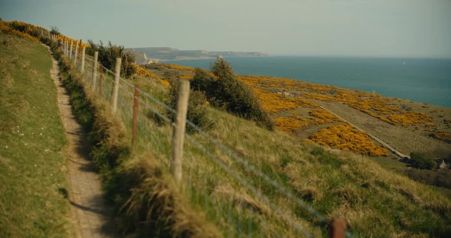 A narrow dirt path runs alongside a wooden fence on a grassy hillside overlooking the oceanbright yellow flowers cover the rolling landscape that stretches down toward the deep blue sea