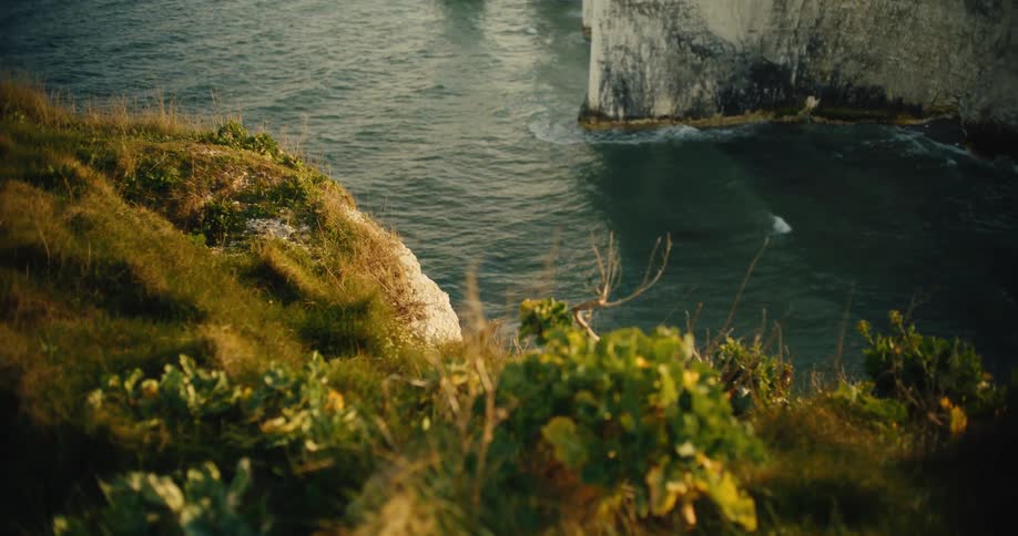 Cliff covered with vegetation overlooking the sea