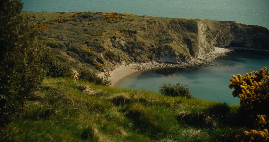A highangle scenic view of a secluded beach nestled between rugged grassy cliffs along a coastlinea gentle breeze moves the green grass and yellow gorse bushes in the foreground as the calm turquoise water meets the sandy shore