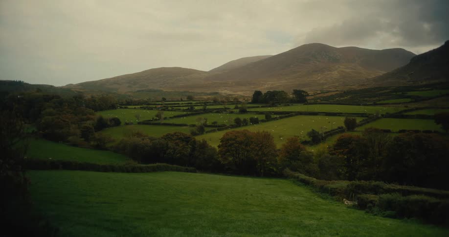 A lush valley of rolling green fields is divided by traditional hedgerows and scattered with grazing sheepthe background features soft rounded mountains under an overcast sky creating a serene and timeless countryside atmosphere