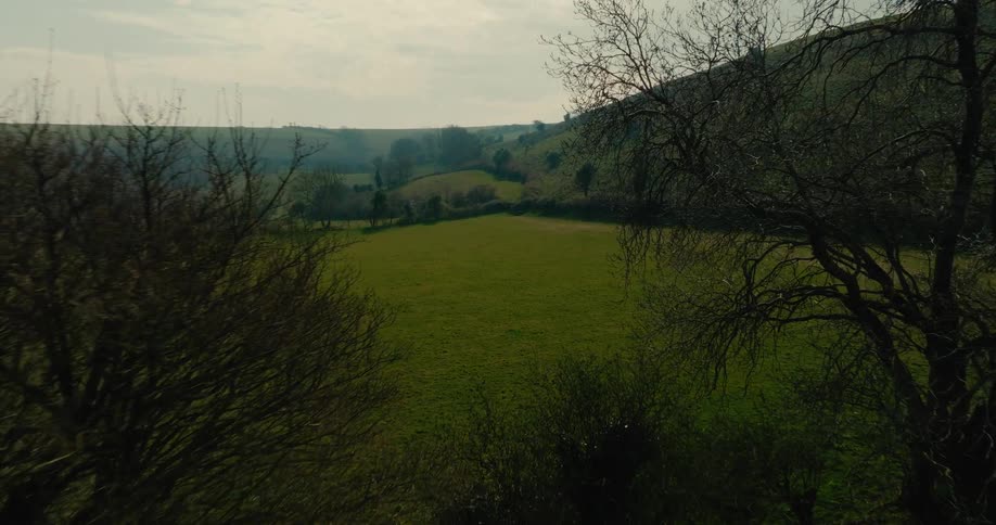 An aerial view showcases a rolling green valley with rows of bare trees casting long shadows across the fields the camera glides forward to reveal a vast tranquil landscape of grassy hills under a hazy sky