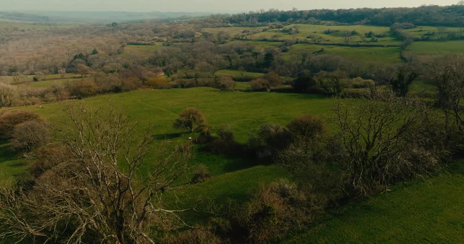 Trees on rural hills with woodland and mountains on the horizon