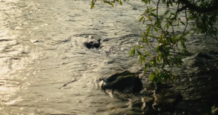 The water flows over the rocks in the river