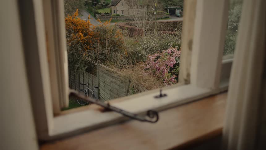 Outside the home window is a garden