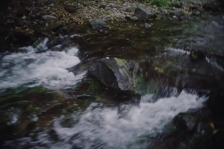 A river running in a forested area