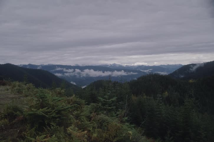 A view of a landscape with trees