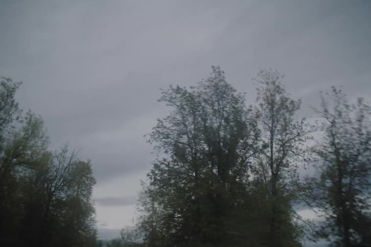 The video shows a row of leafy trees passing by quickly as if viewed from a moving car windowoverhead a thick layer of grey overcast clouds fills the sky creating a moody and somber atmosphere