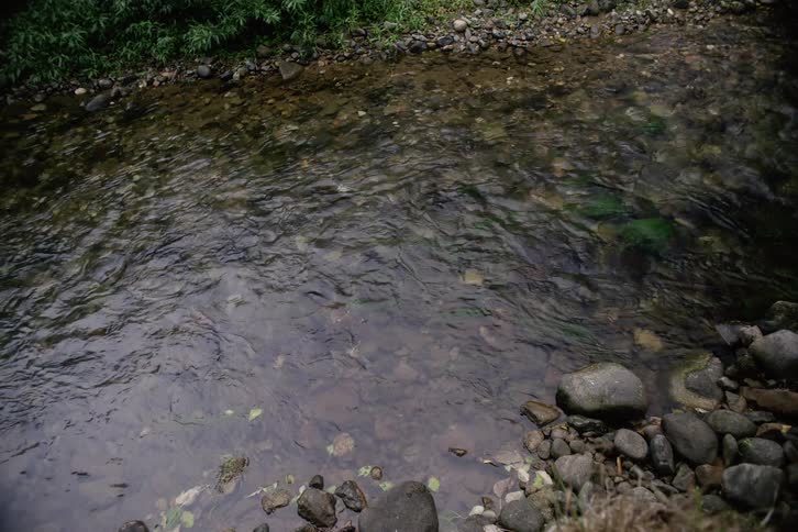Shallow stream with clear water flowing over rocks