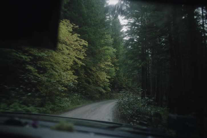 Curved dirt road crossing dense forest viewed through a vehicle windshield