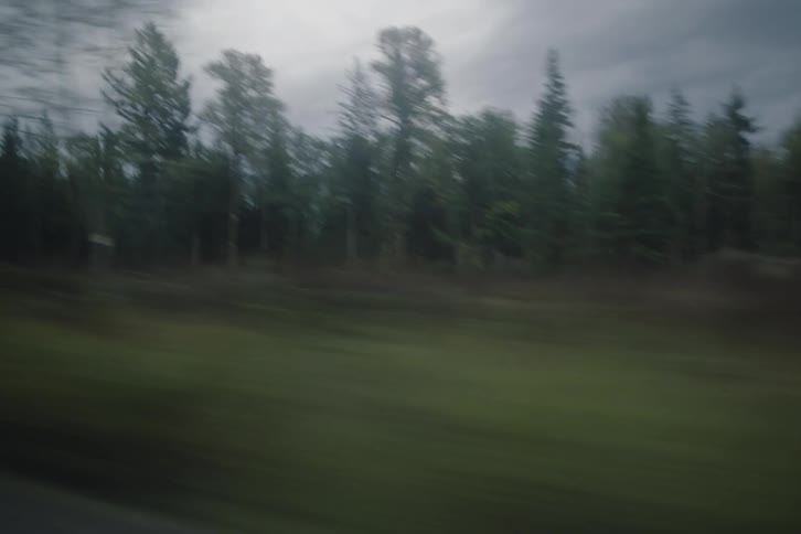 The video shows a handheld shot from a moving vehicle capturing a dense forest landscape under a dark overcast sky the rapid motion creates a heavy blur across the pine trees and distant mountains evoking a moody and atmospheric journey