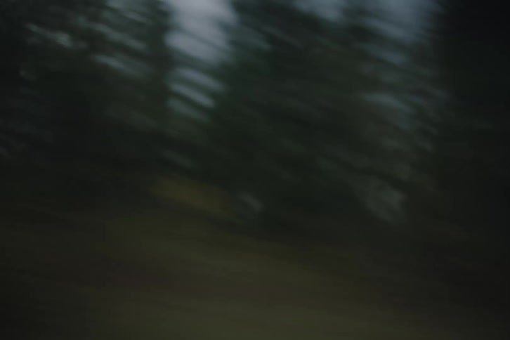 A fastpaced motionblurred view of a dense forest and distant mountains under a heavy overcast sky as the camera moves rapidly the landscape transitions from dimly lit greenery into neartotal darkness emphasizing a sense of speed and isolation