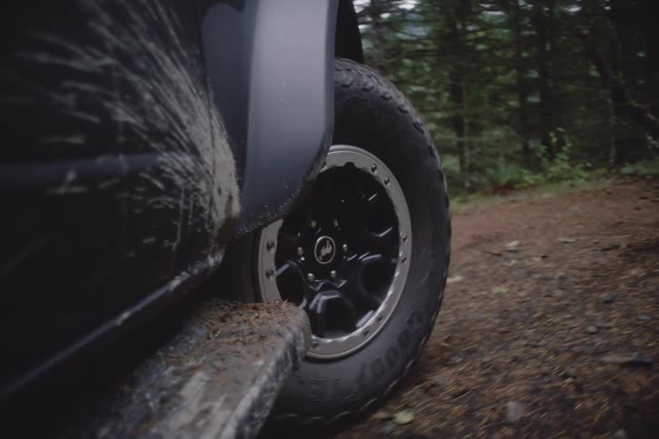 Rear wheel of vehicle on forest trail