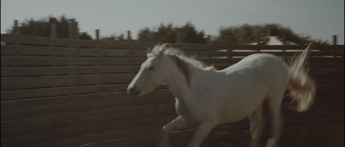 A horse running around in a pen outdoors