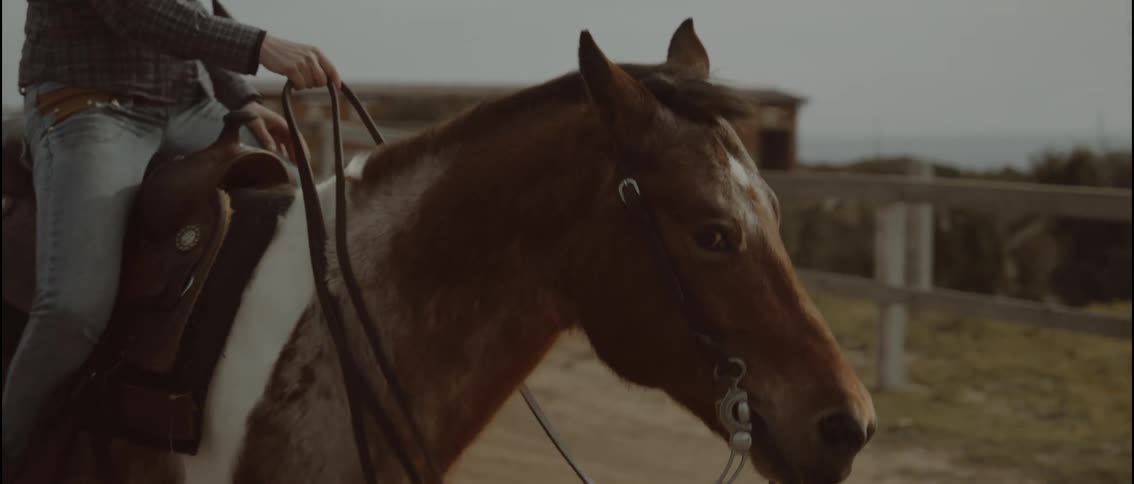 The video shows a closeup profile of a brown and white horse being ridden through a rustic outdoor enclosure a rider in a plaid shirt and jeans sits in a westernstyle saddle holding the reins as the horse moves at a steady pace