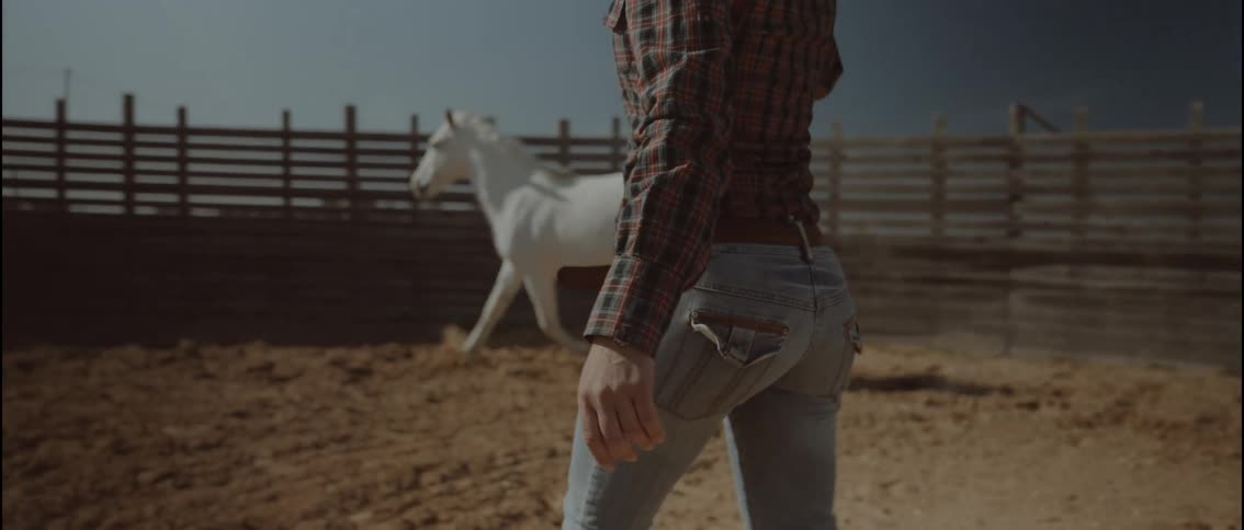 Person holding a rope while a white horse runs in a sandy corral