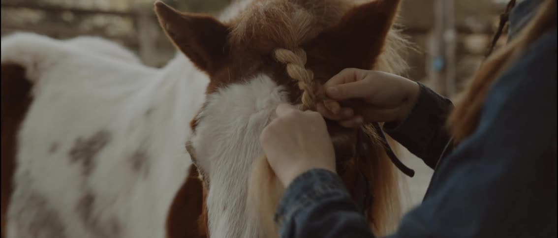 Person braiding a horses mane in a stable