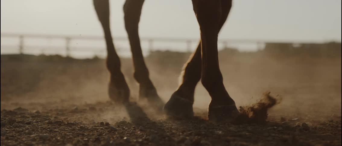 Horse hooves gallop across a dusty ground during a sunset as clouds of dirt rise from the impact