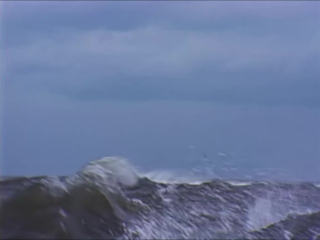Waves crash over dark rocks in a choppy sea under an overcast sky with seagulls flying above