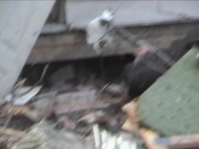 A woman and her dog are being rescued from a building destroyed by a hurricane at midday