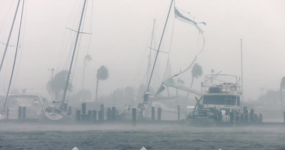 Heavy winds and thick mist batter a marina causing sailboats to tilt sharply while palm trees whip violently in the background shredded sails and debris hang from the masts as choppy water surges around the docked vessels during the storm
