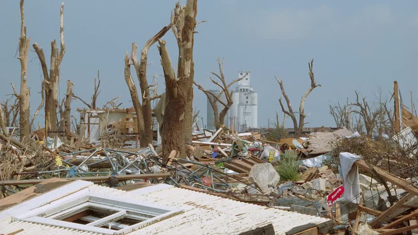 Stripped tree trunks stand like skeletons amidst a chaotic field of shattered timber and metal debris framing a white grain elevator in the distance under a clear blue sky