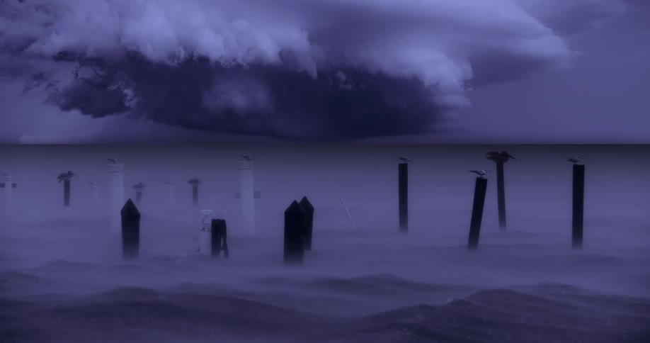 In a stylized monochromatic blue scene seagulls perch atop dark vertical pilings rising from a turbulent misty surface as ominous storm clouds roll heavily in the background
