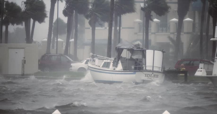 Docked boat hit by strong waves and intense wind in a coastal area with palm trees in the background