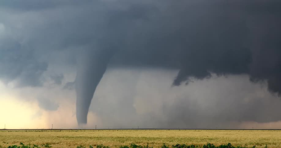 A tornado forms over a grassland with dark clouds covering the sky