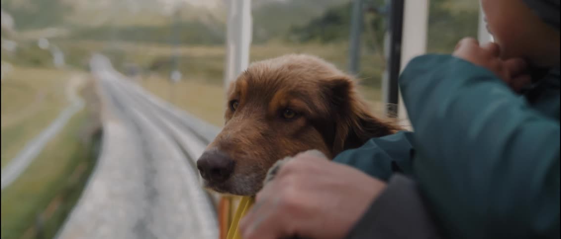 A man and his child riding on the back of a train with their dog