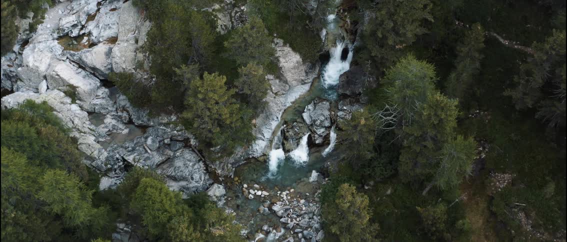 An aerial view of some trees and a river in a forest