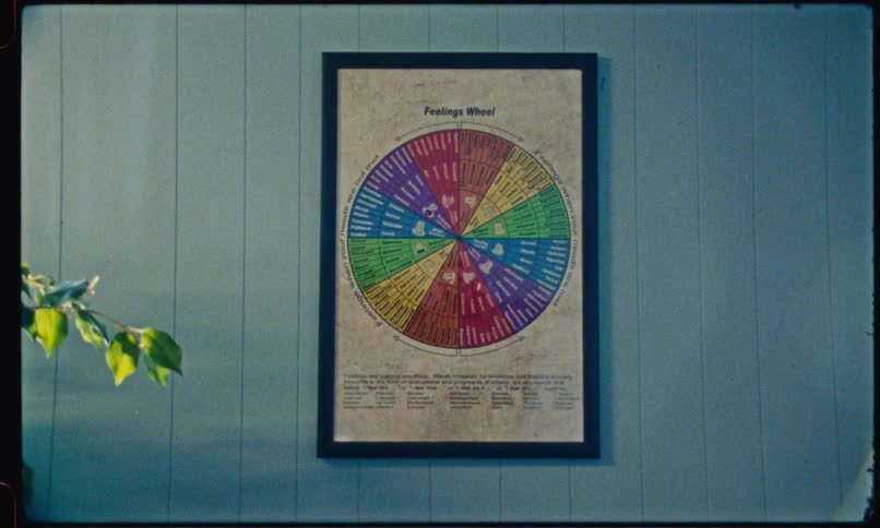 A framed feelings wheel chart hangs on a light blue wall displaying a colorful circle of labeled emotions