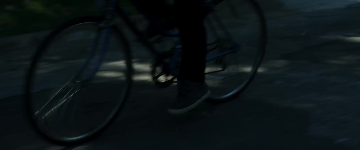 Person riding bicycle down a suburb street during the day