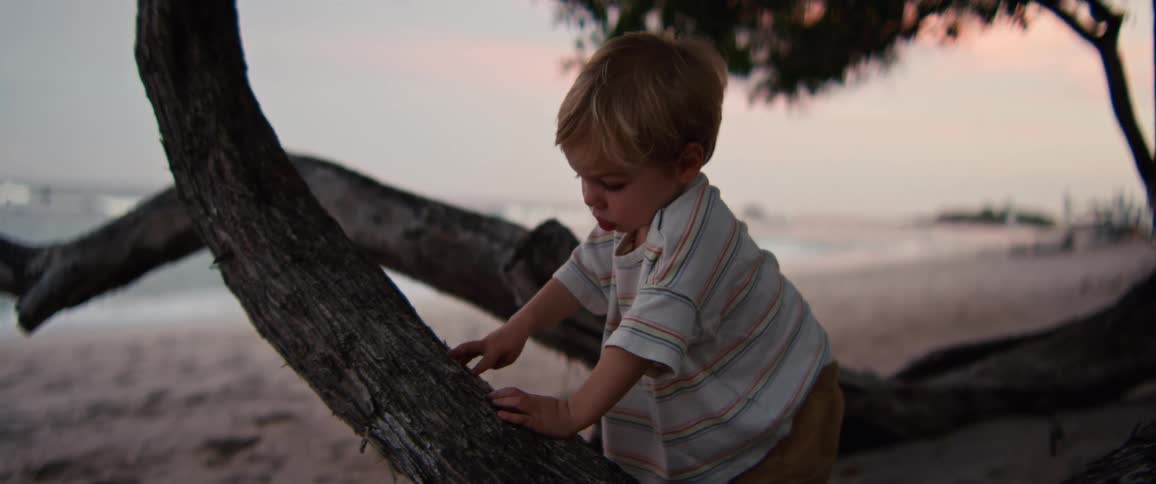A young boy plays on a fallen tree at the beach and sprinkles sand on it