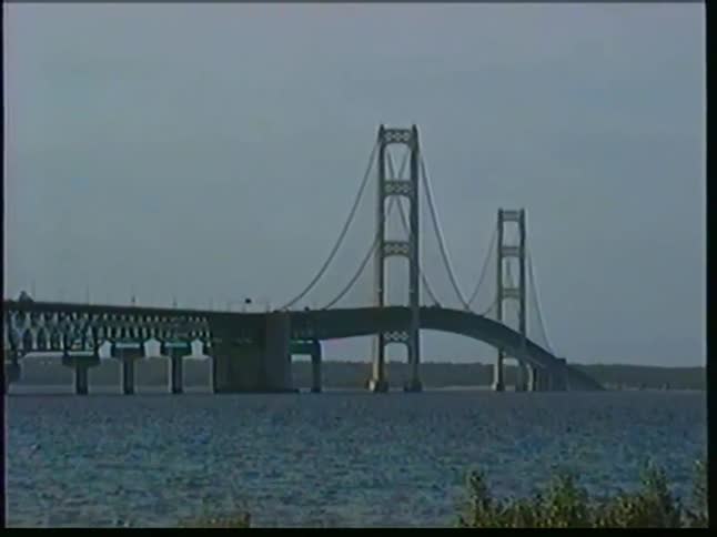 People are walking in the park with a bridge in the distance