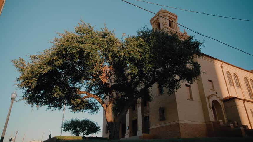 Large tree in front of church with tower and tall windows under blue sky