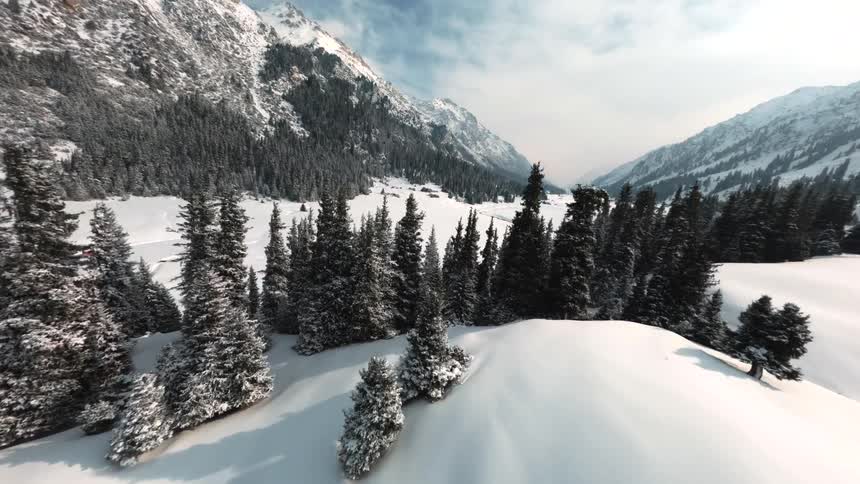 An aerial view of a forest covered in snow at the base of mountains