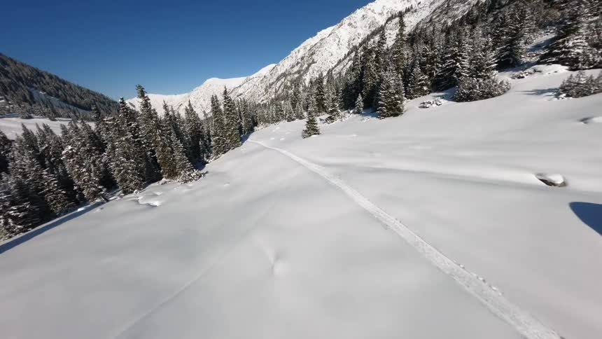 An aerial view of a forest and mountain covered in snow