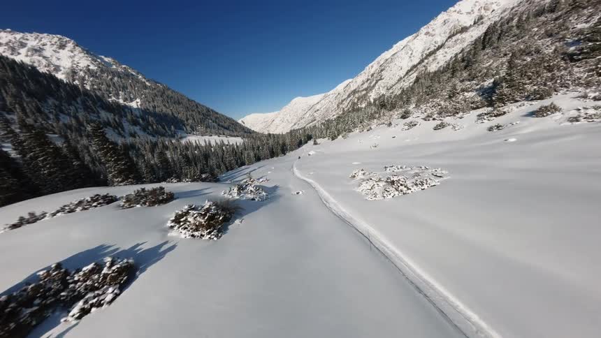 Snowmobile leaving tracks on a snow covered forested mountain slope