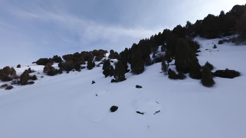 Forest area between mountains and valleys covered in snow outdoors during day time