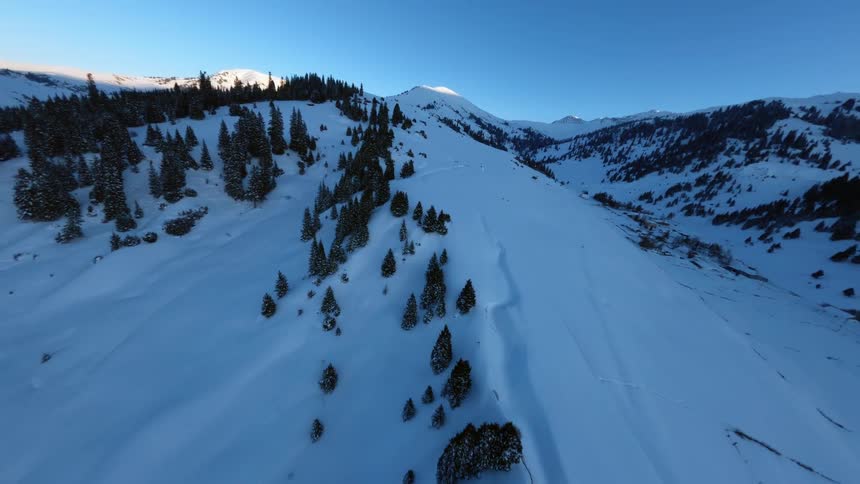 Snowcovered mountain valley with scattered trees and peaks in the background