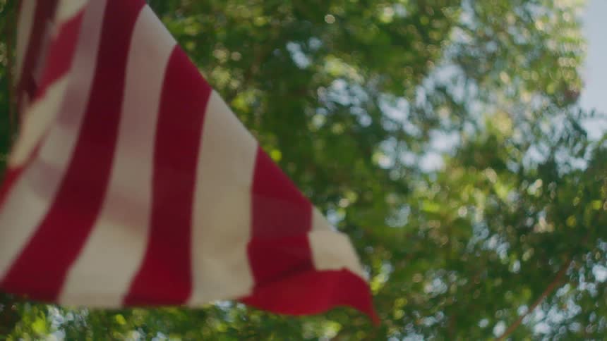 American flag waves in front of trees