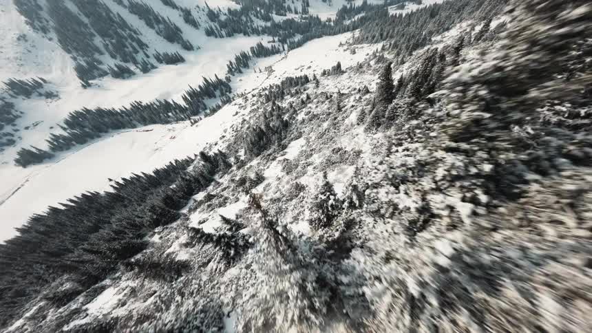 An aerial view shows a snowy mountain valley with dark green pine trees under a bright sky