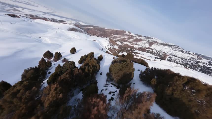Snowcovered hill with scattered trees under partly cloudy sky