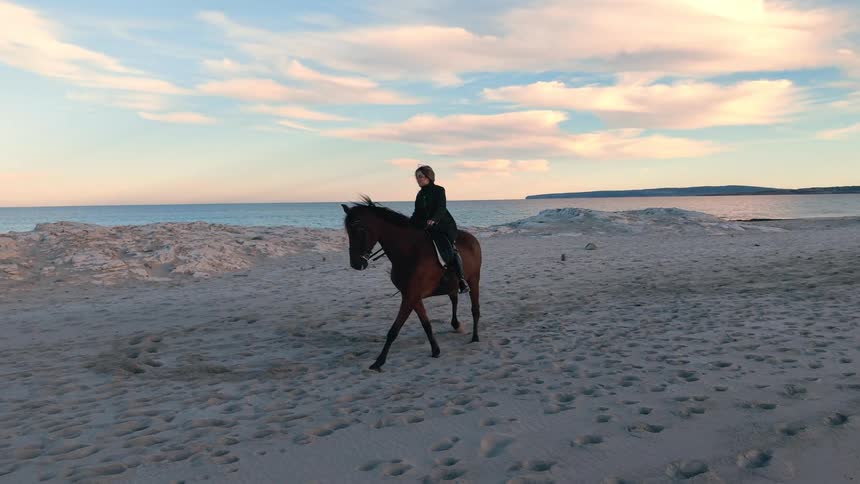 Young adult woman wearing black clothes riding a horse on the beach next to the ocean outdoors during dusk or dawn