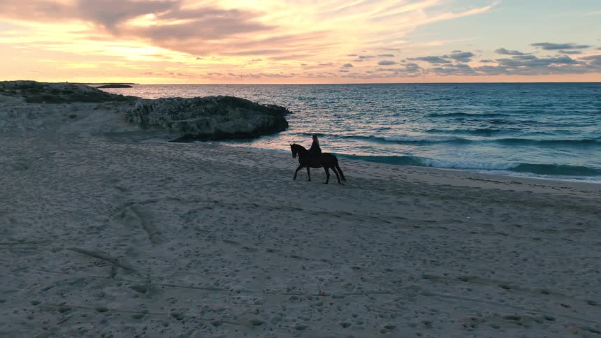 Adult woman wearing black clothes riding a horse at the beach close to the ocean outdoors during dusk or dawn