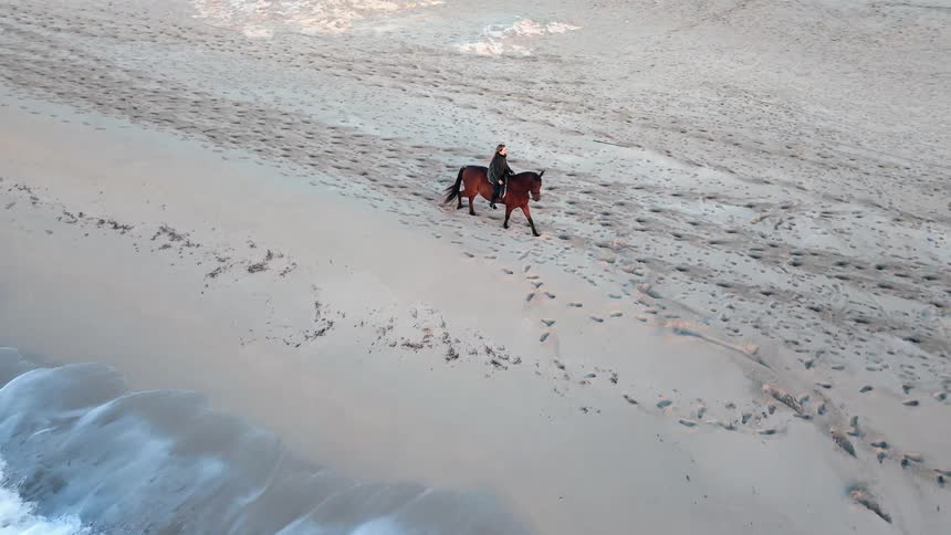 A person riding a horse on the beach