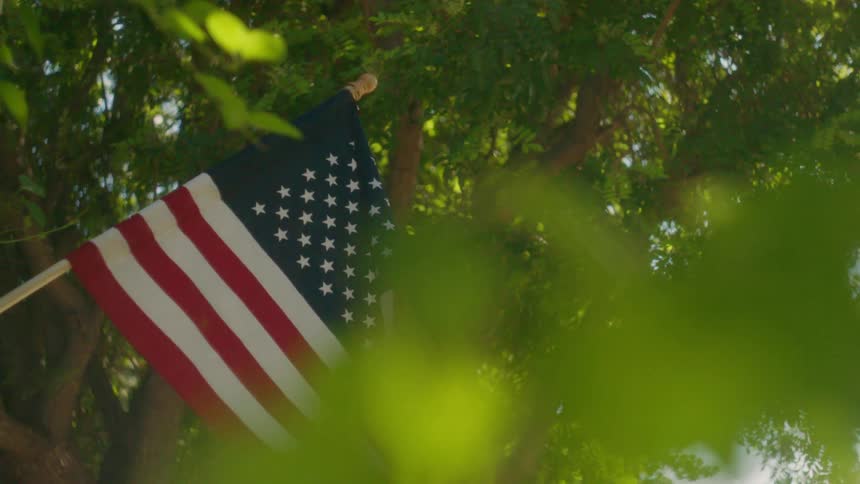 An american flag flies high by the trees