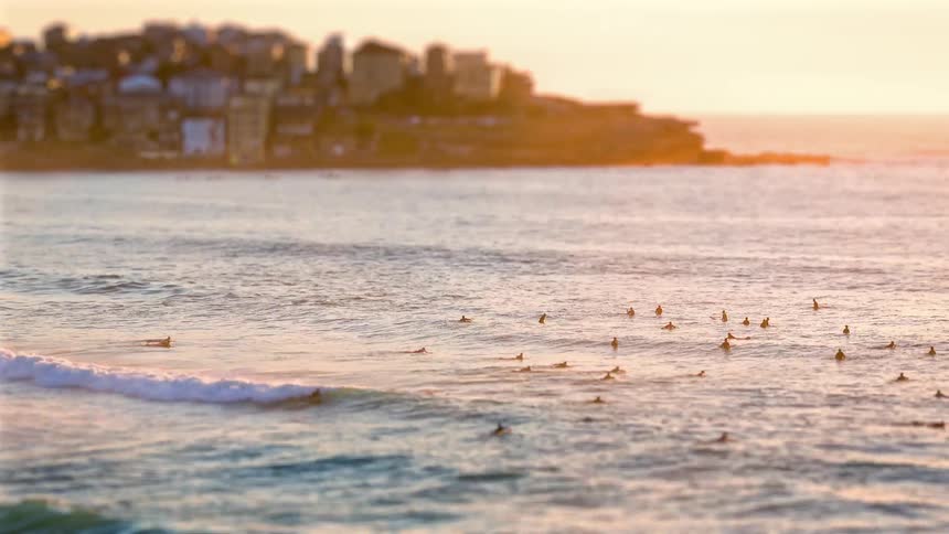 Many surfers wait for waves in the coastal area near a large city under a red sky