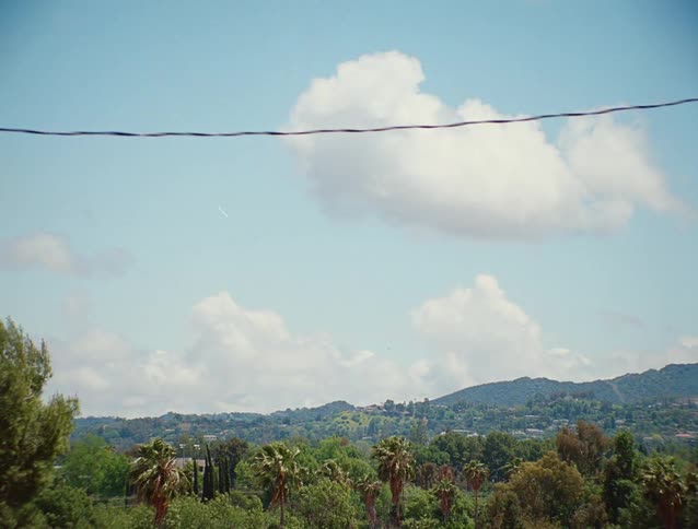 A single power line stretches horizontally across the sky above the palm trees and rolling hills as wind blows and lightening flashes