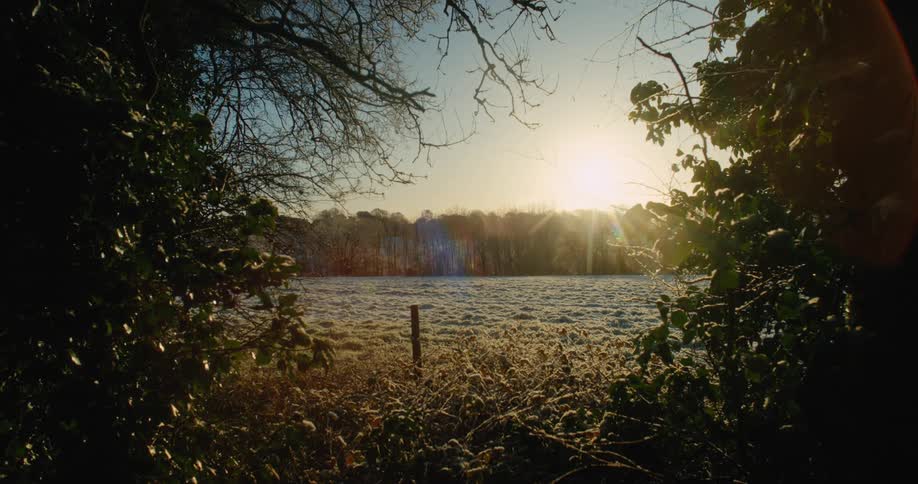 Sun glares onto a frost covered field surrounded by trees on a winter day